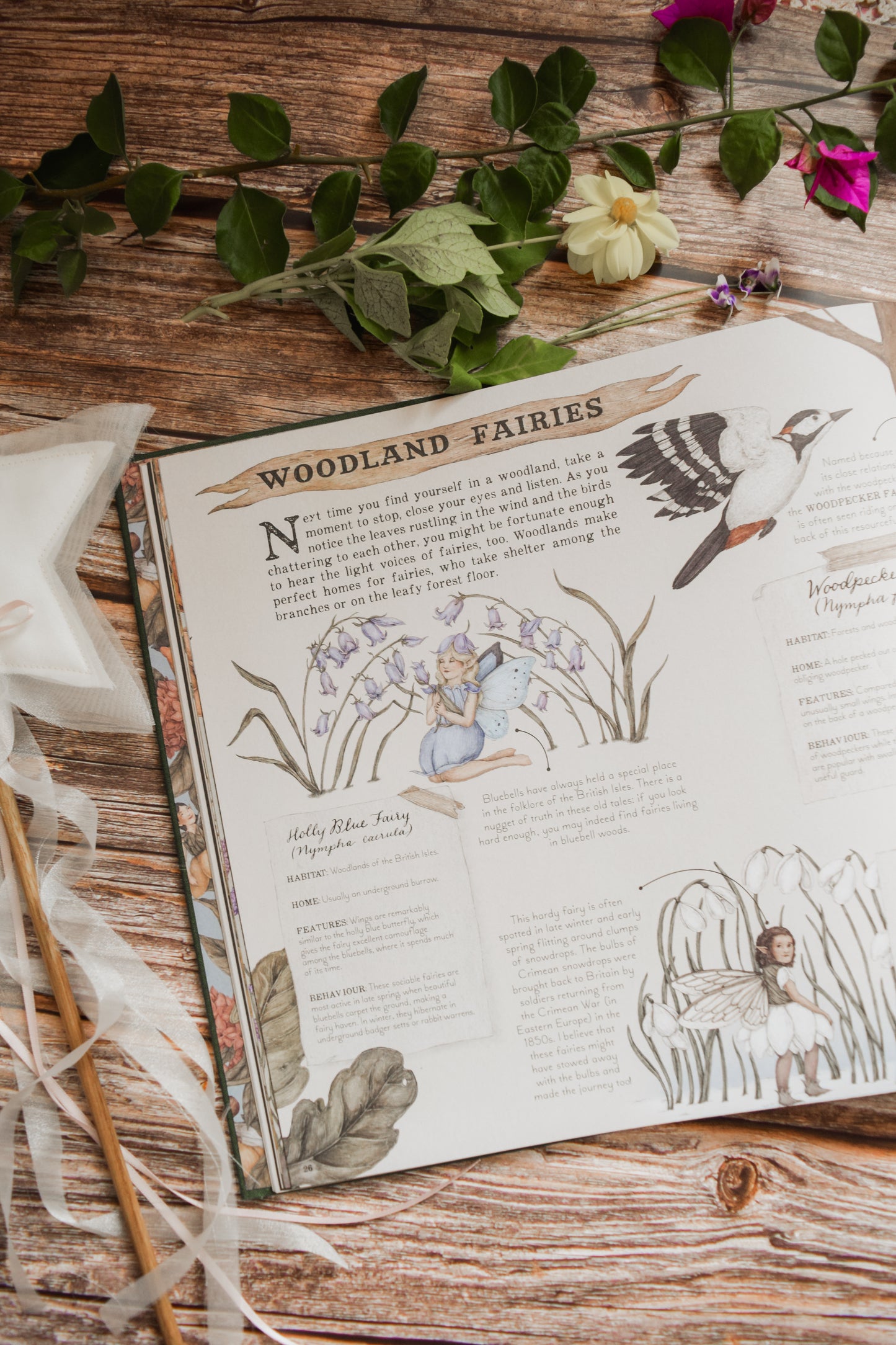 A Natural History of Fairies Heirloom Book