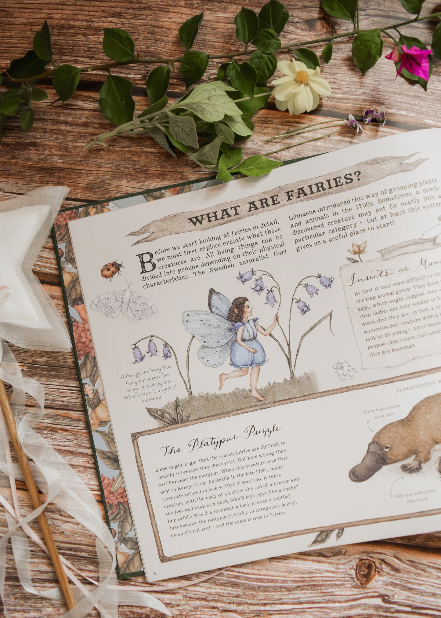 A Natural History of Fairies Heirloom Book