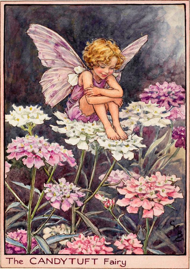 Flower Fairies Pillowcase - The Lilac Fairy