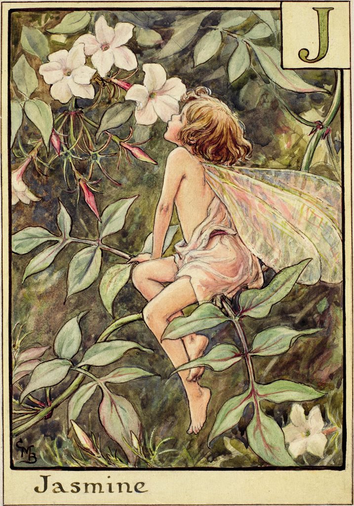 Flower Fairies Pillowcase - The Jasmine Fairy