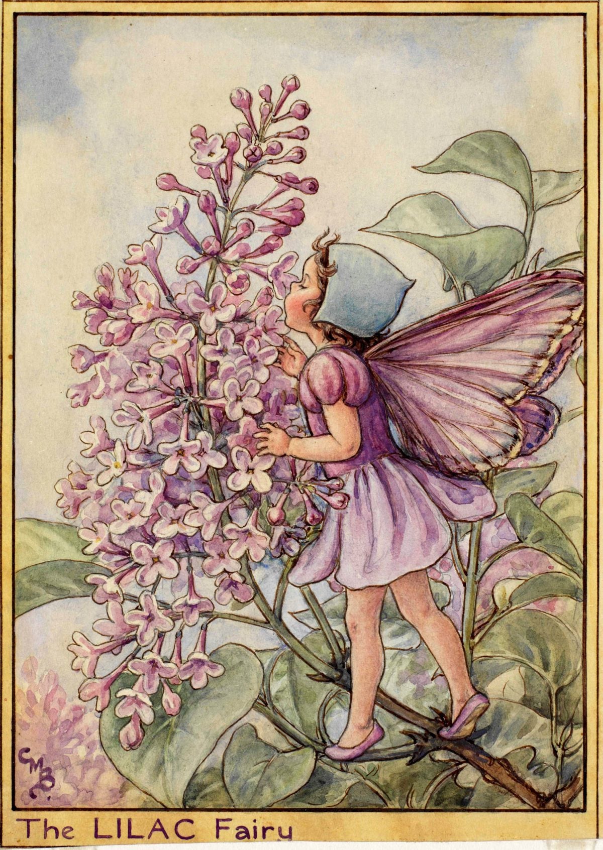 Flower Fairies Pillowcase - The Lilac Fairy