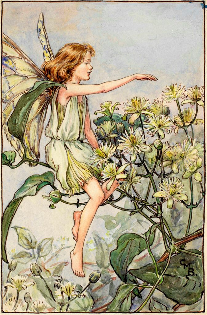 Flower Fairies Pillowcase - The Traveller's Joy Fairy